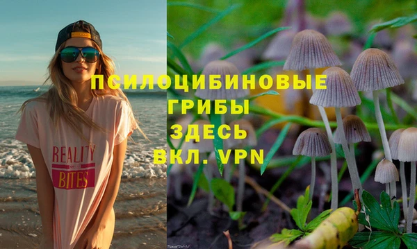 гидра Бугульма