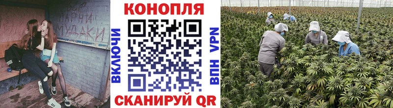 наркота  Балахна  Бошки Шишки White Widow 